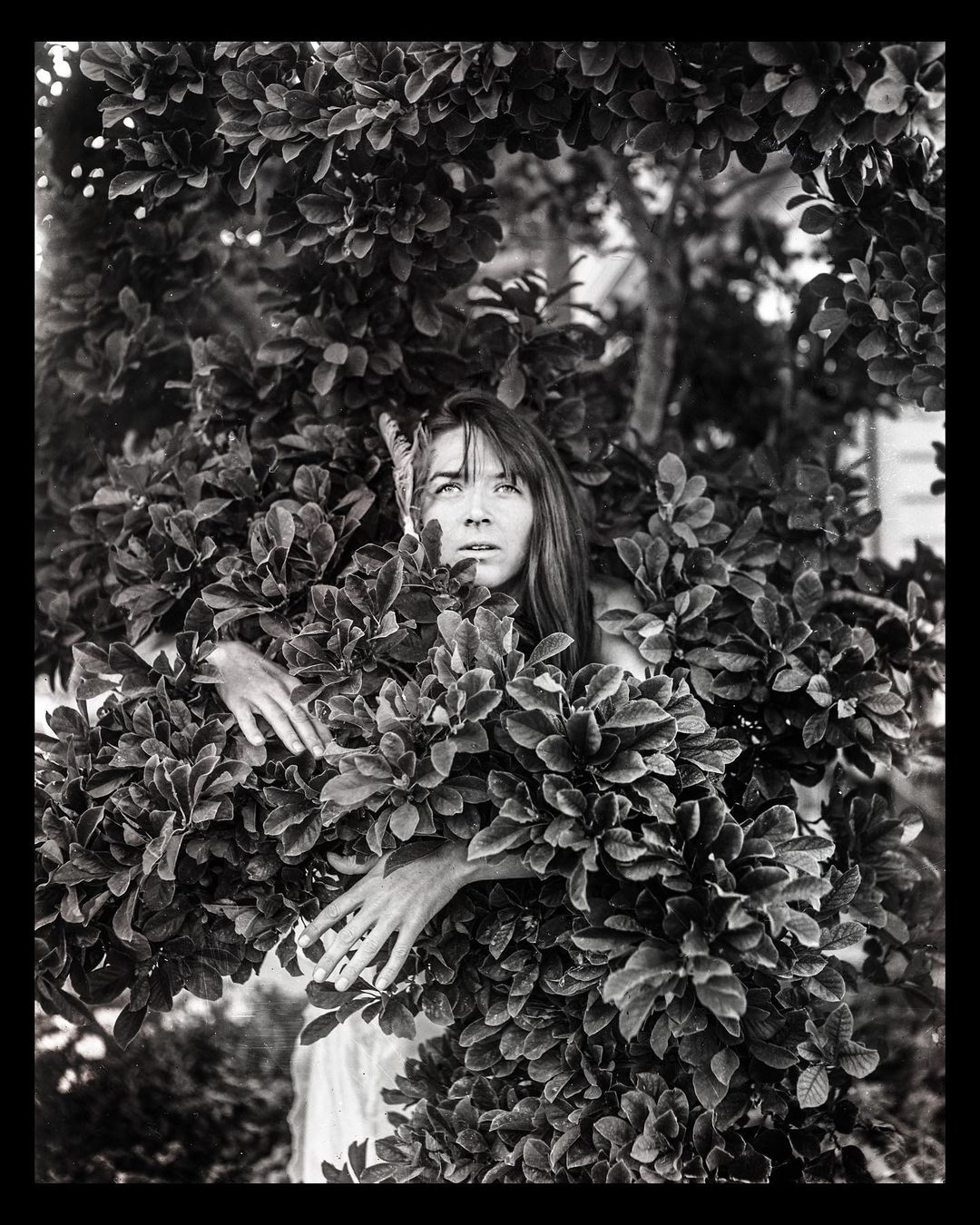 Ria with feathers in her hair. #contemporaryart #4x5photography #portraitphotogr…