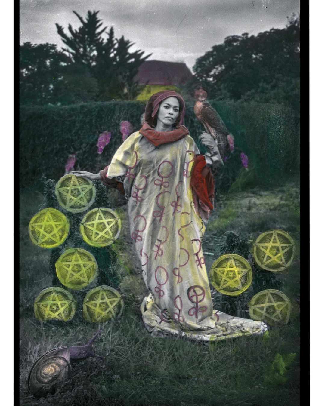 9 of pentacles. Our new deck of hand colored photographic tarot cards”Journey to…