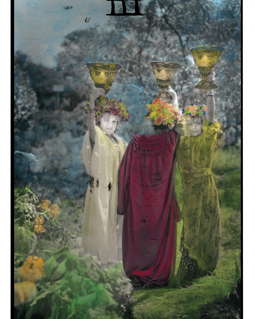 3 of cups. Our new hand colored photographic tarot is ready for preorder go to w…