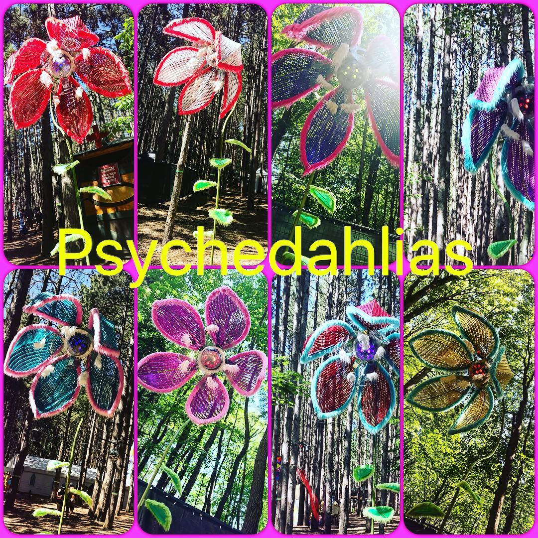 Our brand new Psychedahlias.  They add a very whimsical ambiance to the Electric…