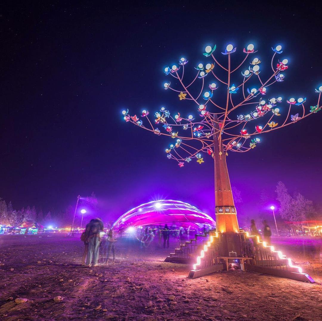 TrEeD at the Oregon Eclipse Festival #treed #tylerfuquacreations #oregoneclipse2…