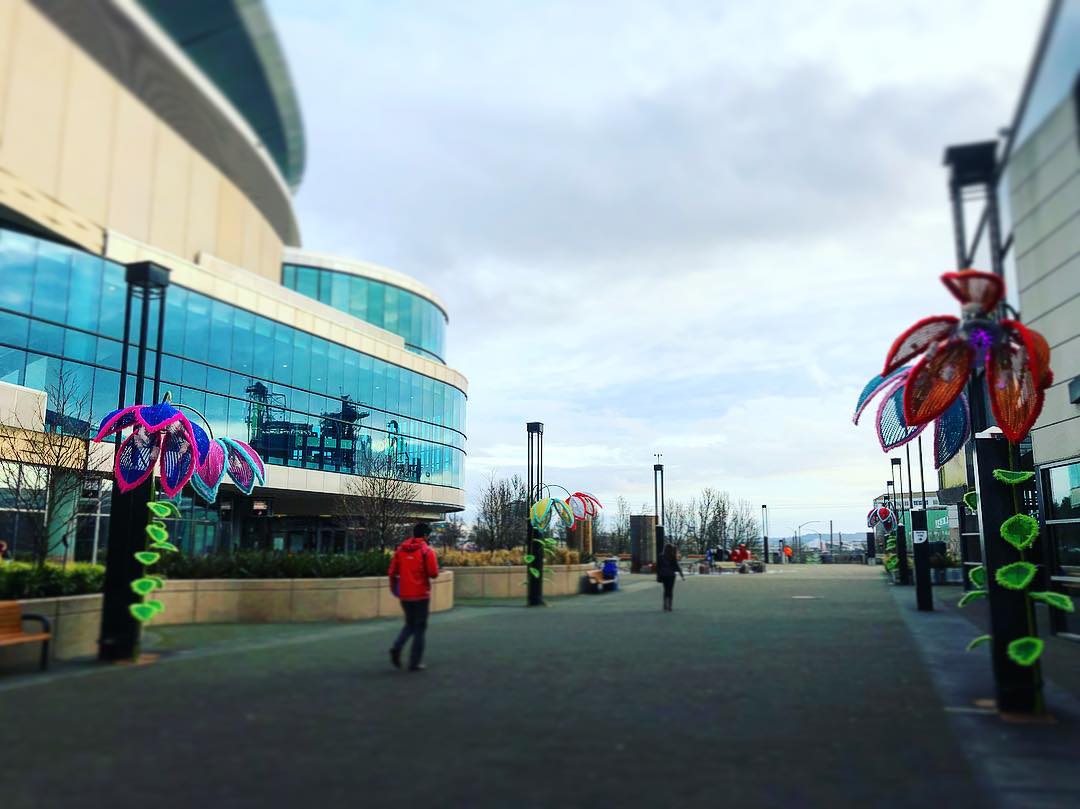 The Psychedahlias are lighting up the Moda Center for the Portland Winter Light …