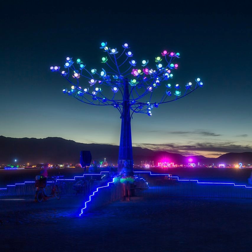 TrEeD at Burning Man 2015
#tylerfuquacreations #treed #burningman #burningman201…