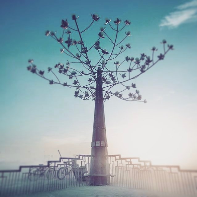 Great shot of TrEeD at Burning Man 2015
Not sure who took this picture.  #tylerf…